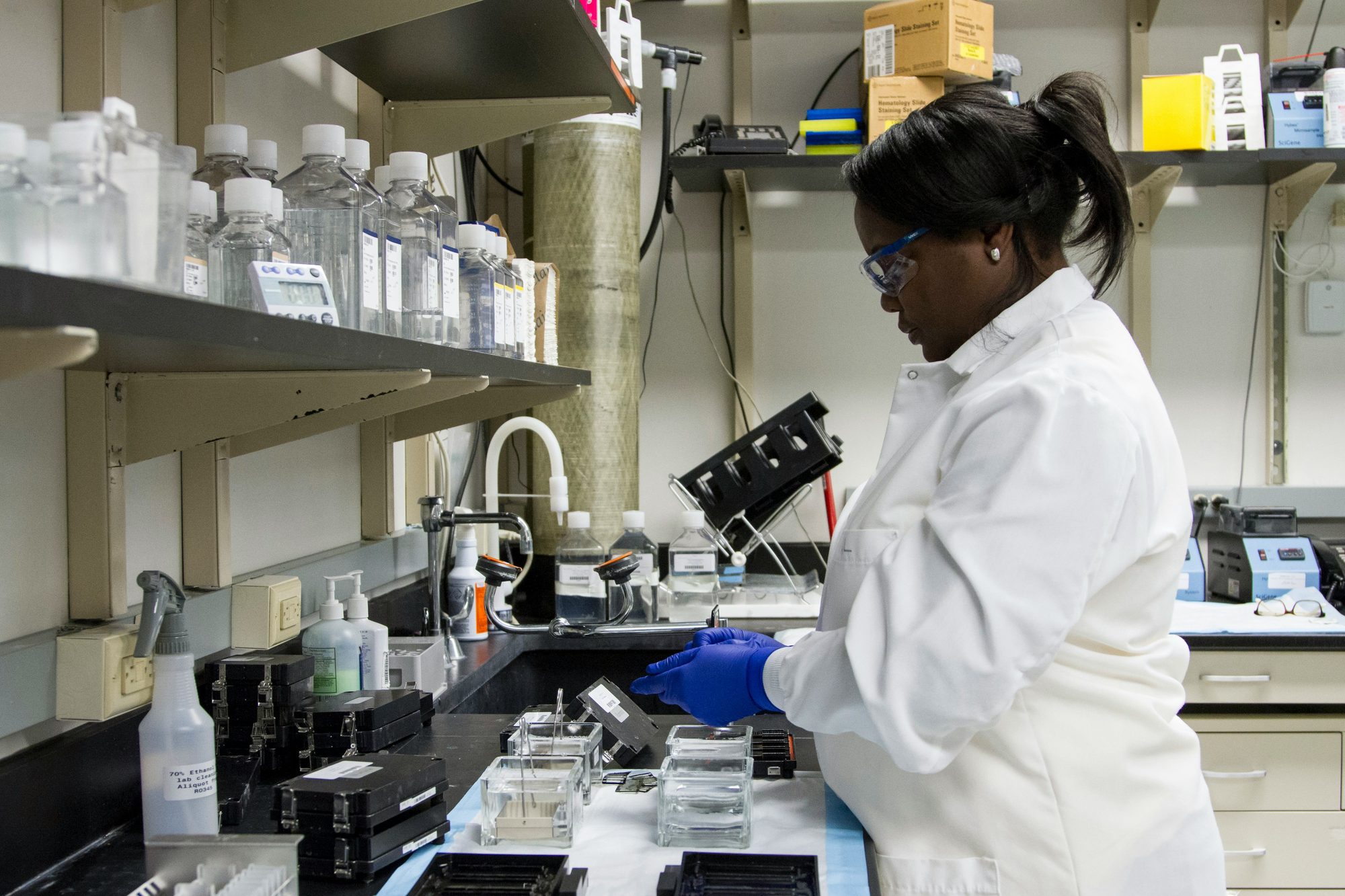 A researcher examining lab samples at the bench